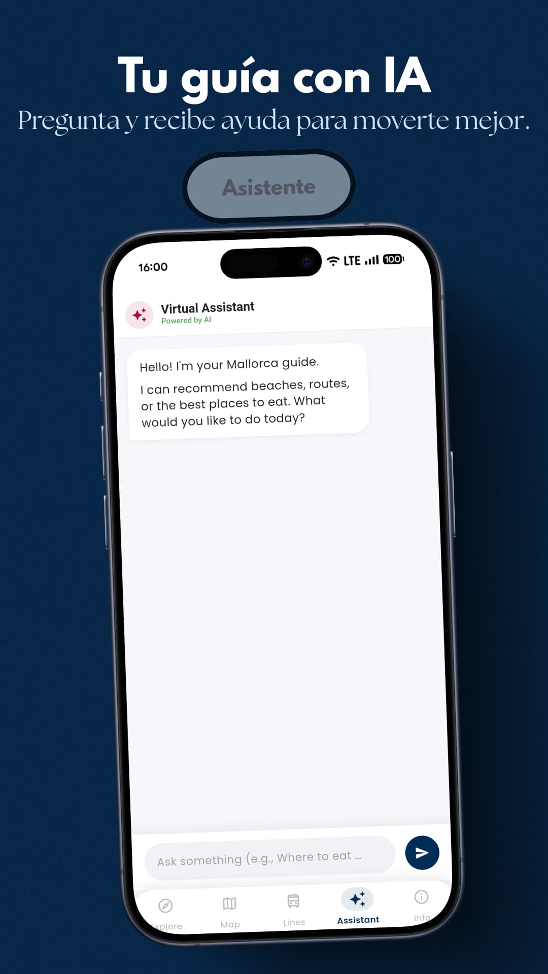 Asistente IA Mallorca Go